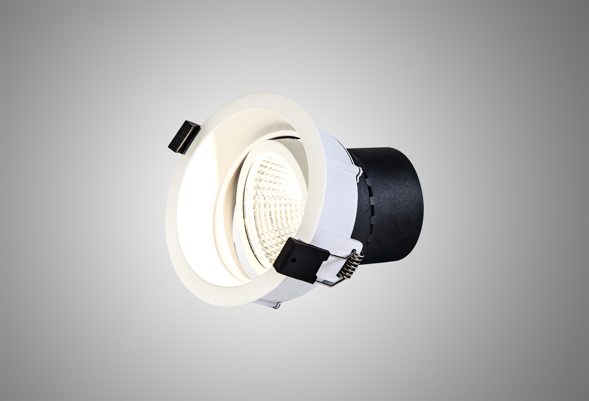 Bodar A 20 Recessed Ceiling Luminaires Dlux Round Recess Ceiling